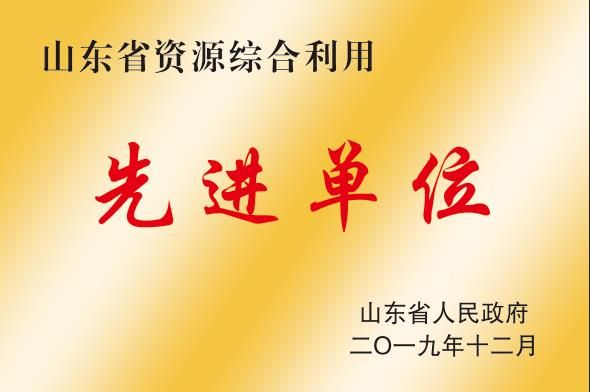 山東省資源綜合利用先進單位